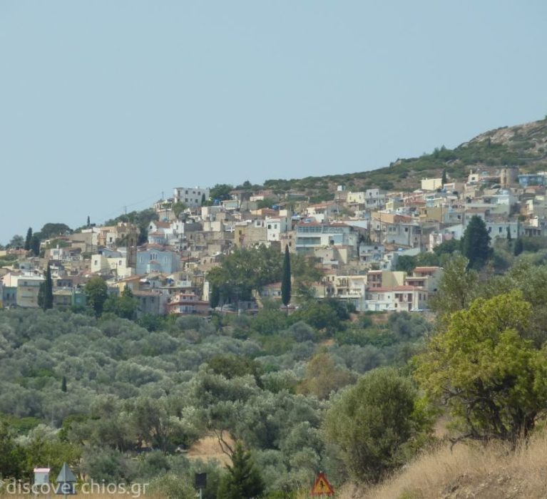 Ιερός Ναός Κοιμήσεως Θεοτόκου Θολοποταμίου: Προκήρυξη πλειοδοτικού διαγωνισμού εκμίσθωσης αγροκτήματος